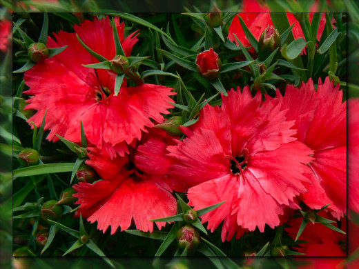 530875 (a): :1600x1200